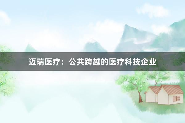 迈瑞医疗：公共跨越的医疗科技企业