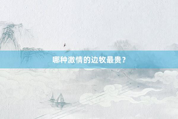 哪种激情的边牧最贵？